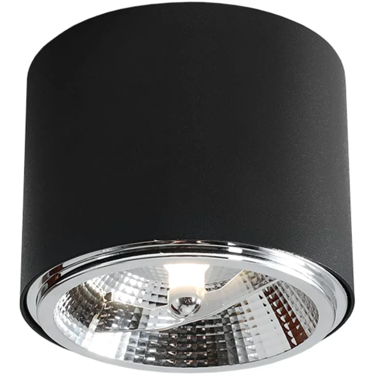Aldex Bot taklampe, 10 W, sort | AL1047PL-G