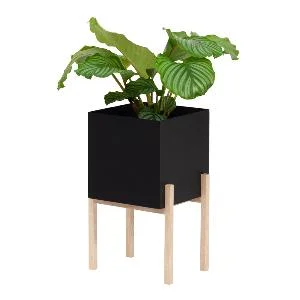 Greenery botanic pidestall v:7222796 Greenery botanic pidestall v:7222796